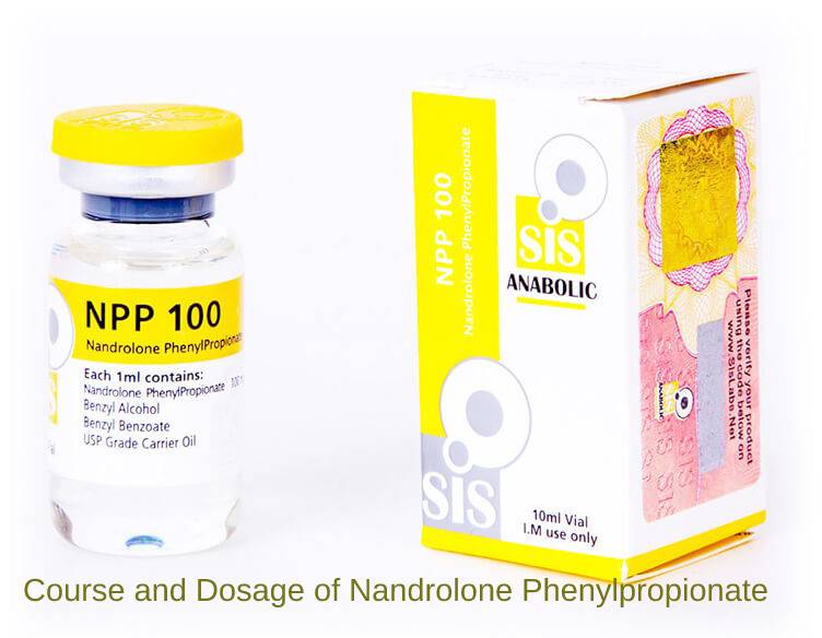 Course and Dosage of Nandrolone Phenylpropionate