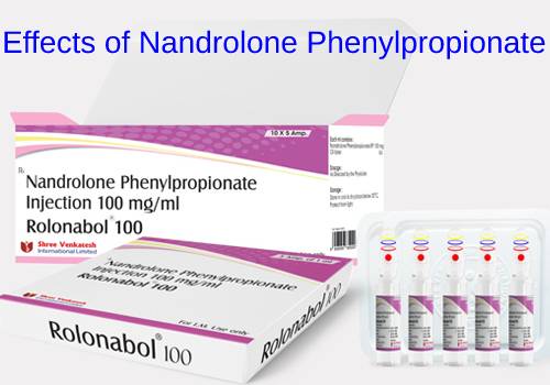 Effects of Nandrolone Phenylpropionate