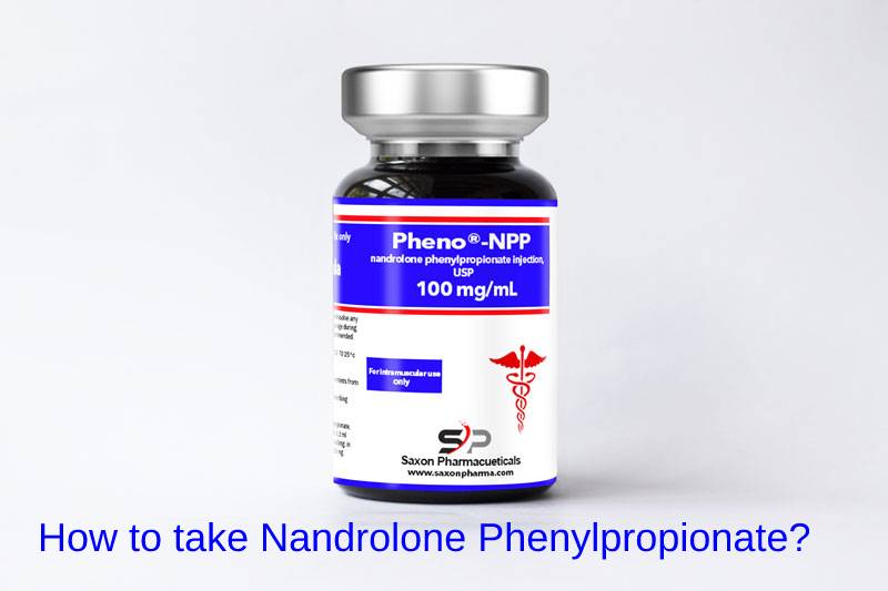 How to take Nandrolone Phenylpropionate?