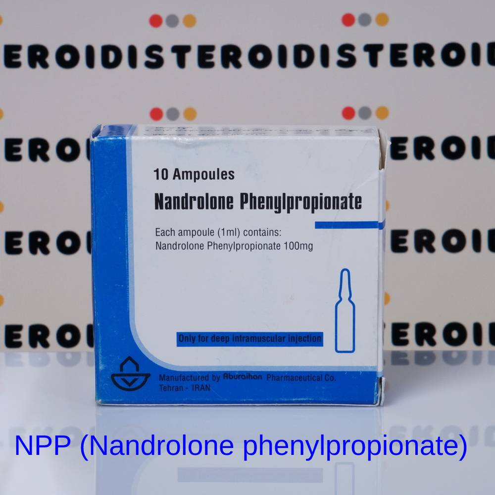 Information of steroid NPP (Nandrolone phenylpropionate)