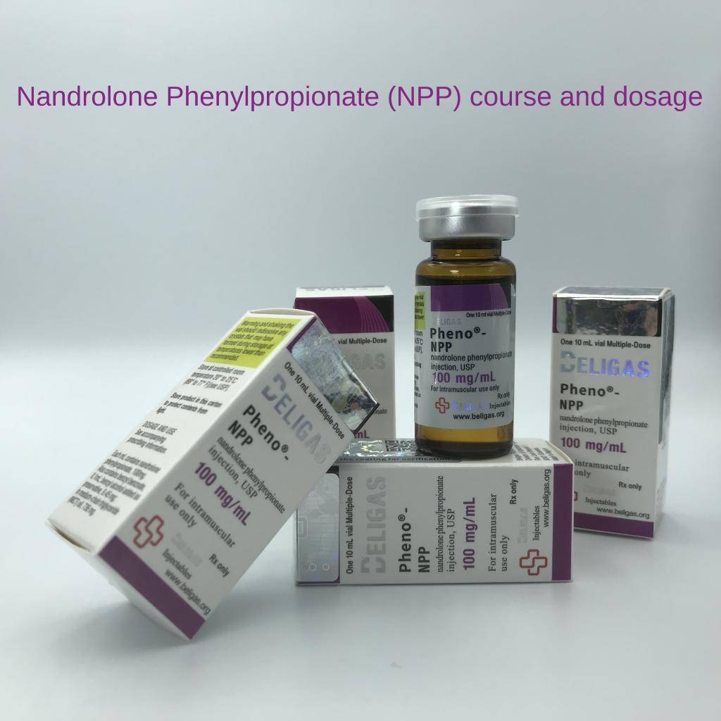 Nandrolone Phenylpropionate (NPP) solo course and dosage