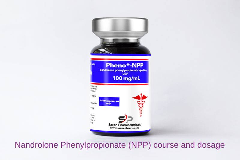 Nandrolone Phenylpropionate (NPP) course and dosage
