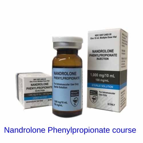 Nandrolone Phenylpropionate course