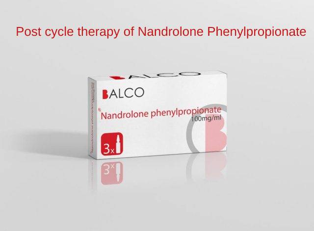 Post cycle therapy of Nandrolone Phenylpropionate