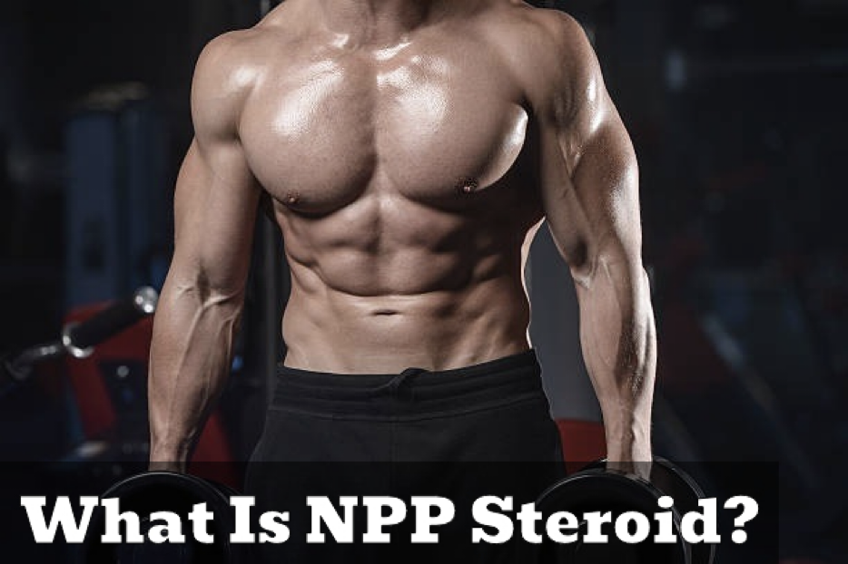 Nandrolone Phenylpropionate Results
