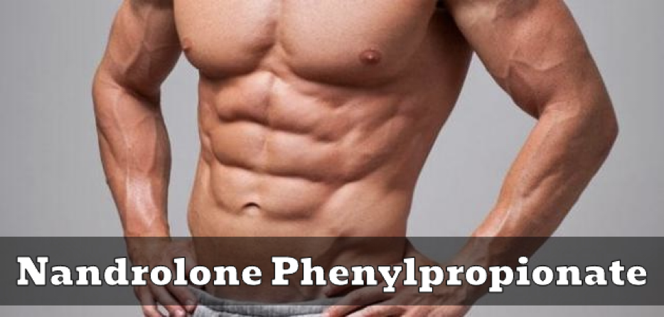 Product reviews for Nandrolone Phenylpropionate
